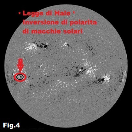 4 Inversione di polarit delle macchie solari