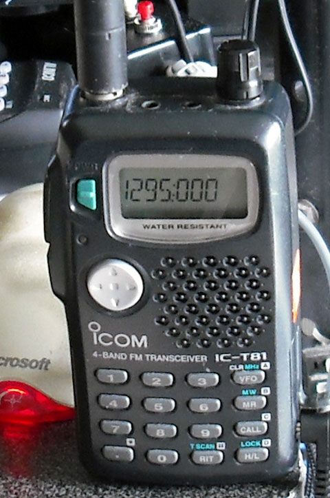 ic-t81