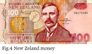 4 New Zeland money